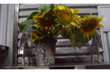 写真紹介 ボランティアスタッフの活動の様子 その5